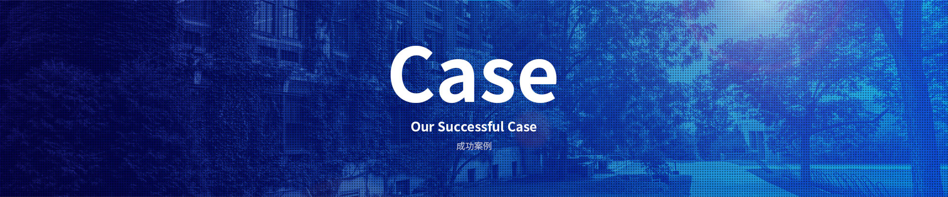 成功案例